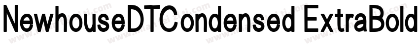 NewhouseDTCondensed ExtraBold字体转换